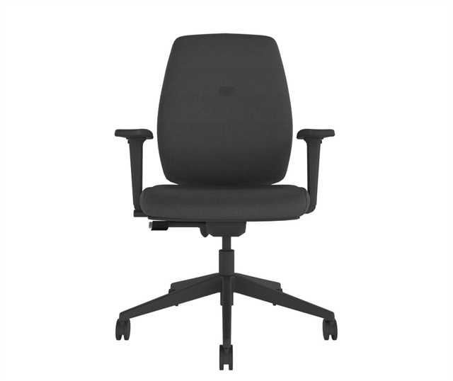 YOU-Upholstered-Task-Chair-Arms-01.jpg