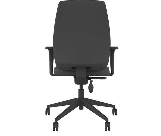 YOU-Upholstered-Task-Chair-Arms-04.jpg
